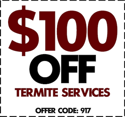 termitediscount