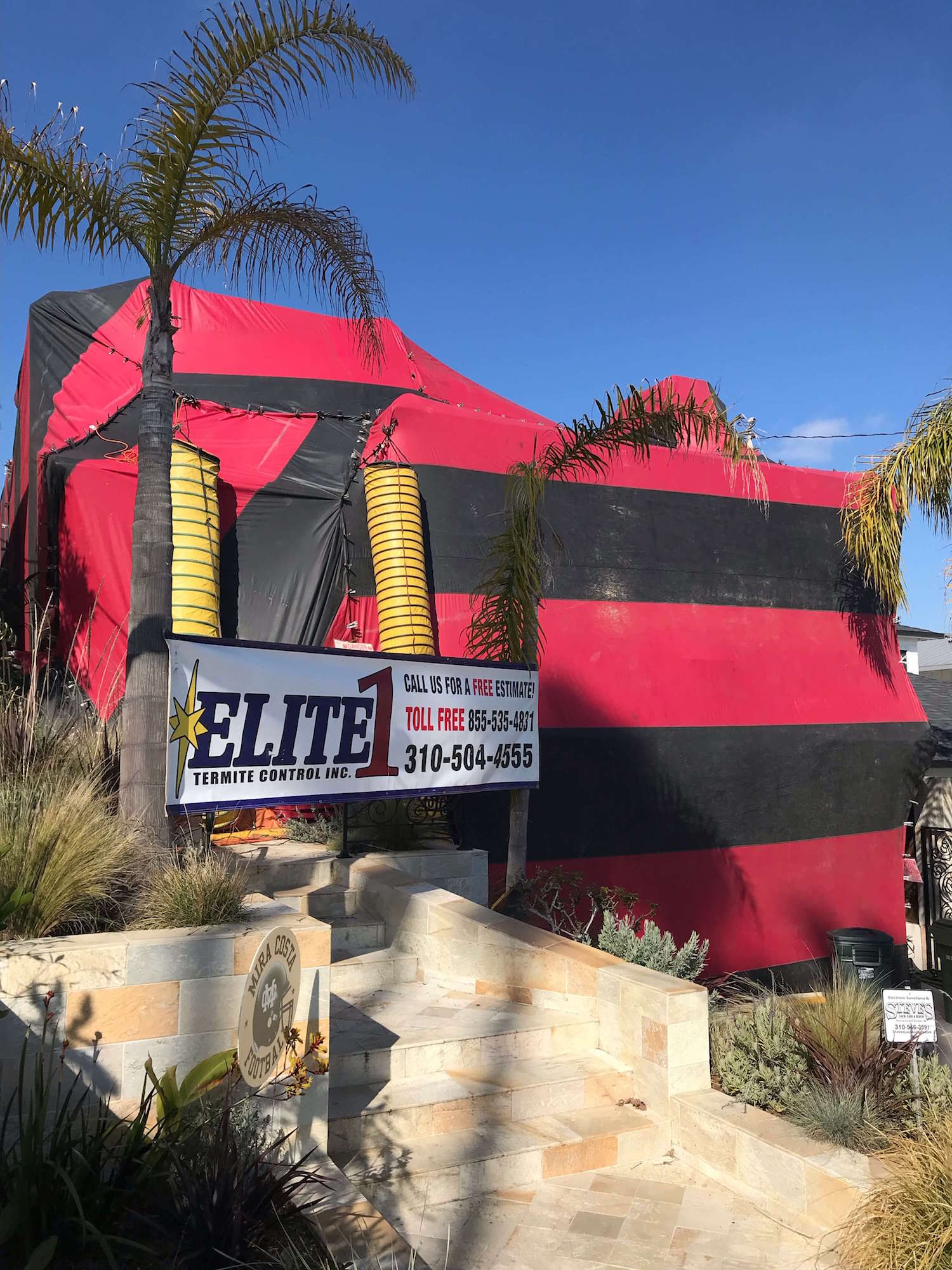 termite-control-los-angeles termite-control-los-angeles