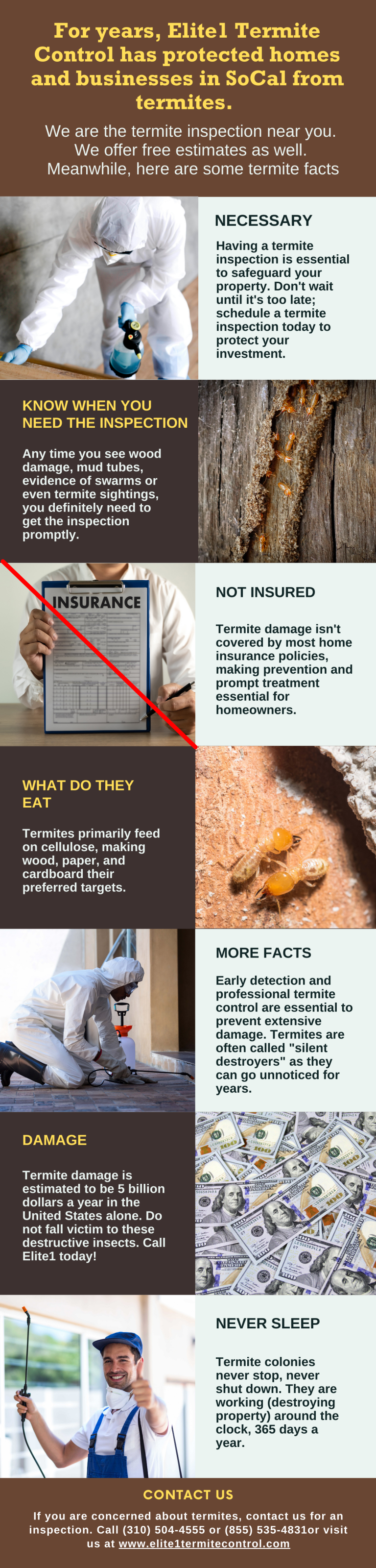 Termite Inspection Near Me – Get help at Elite1 Termite Control