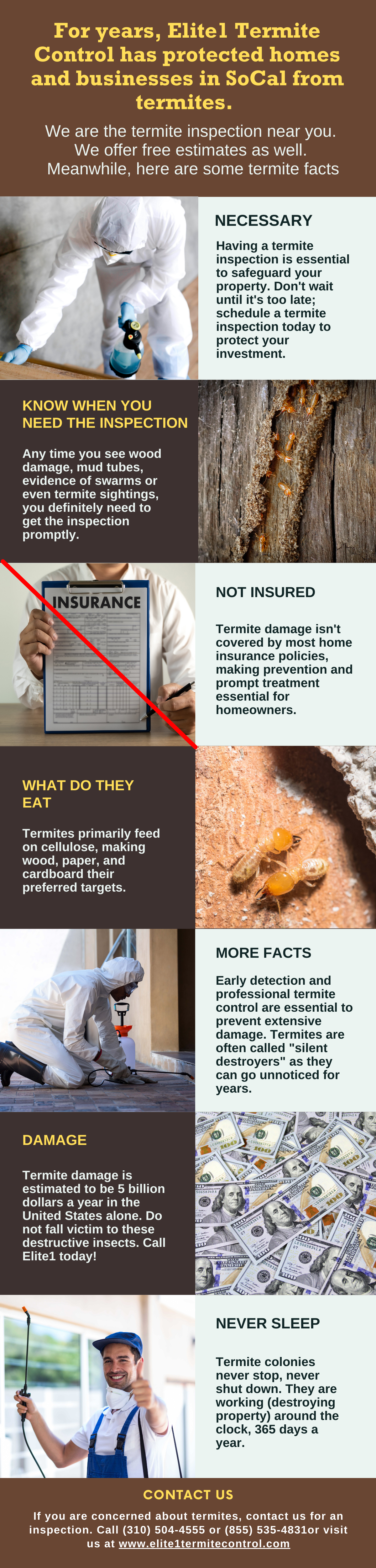 Termite Inspection Near Me