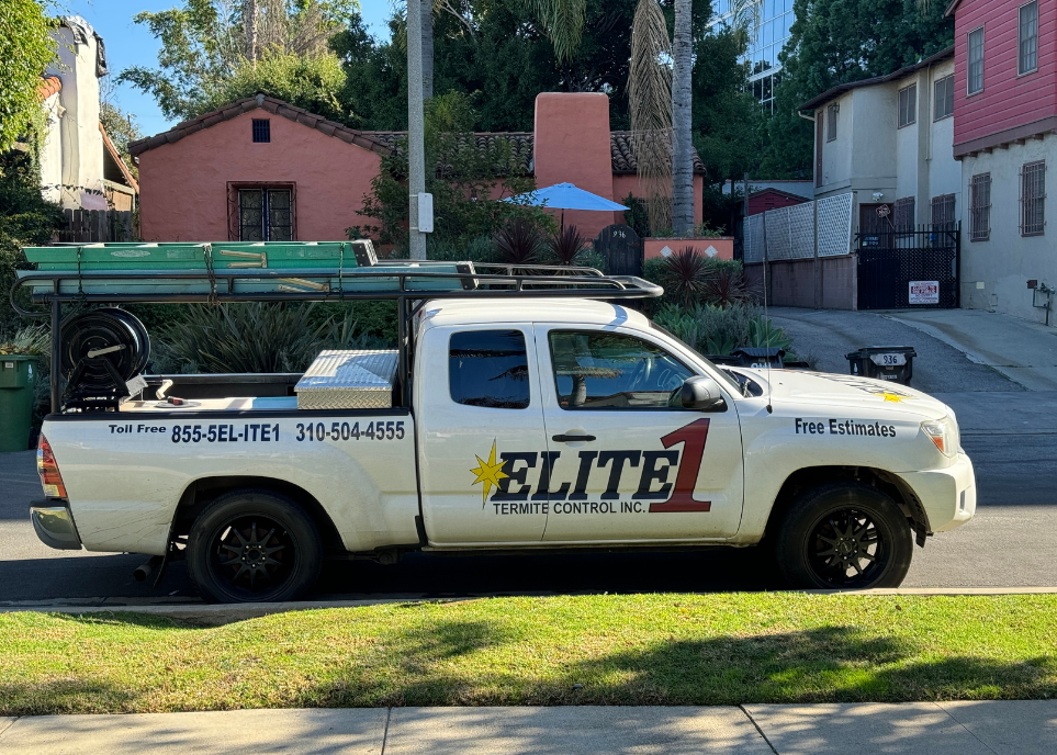 Elite1 termite control Santa Monica