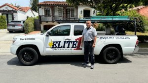 Elite1 termite control in Los Angeles